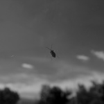 ..."infiniment".
