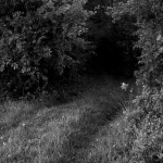 Un chemin inattendu