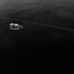 …Si minuscule…
