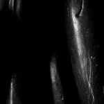 …Tout est là…