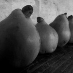 …Partout…