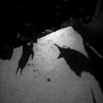 Lux Tenebræ